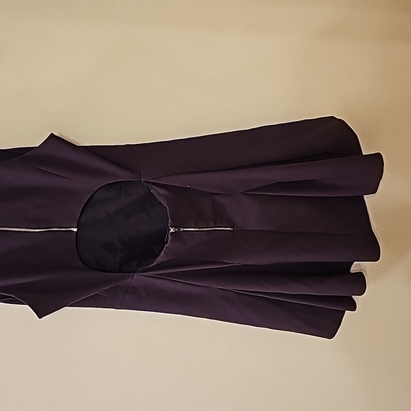 $395 Elizabeth and James Sabine Sleeveless Deep Plum Dress sz 10 - Picture 2 of 3
